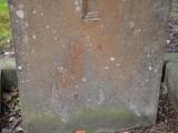 image number B11